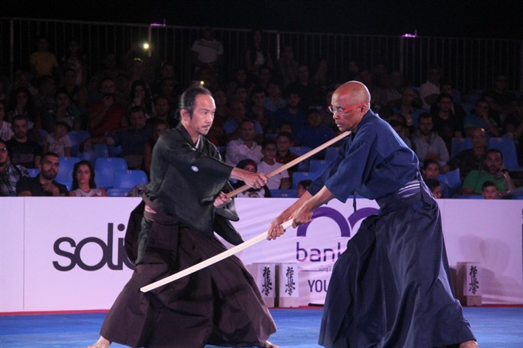 Martial Arts Festival